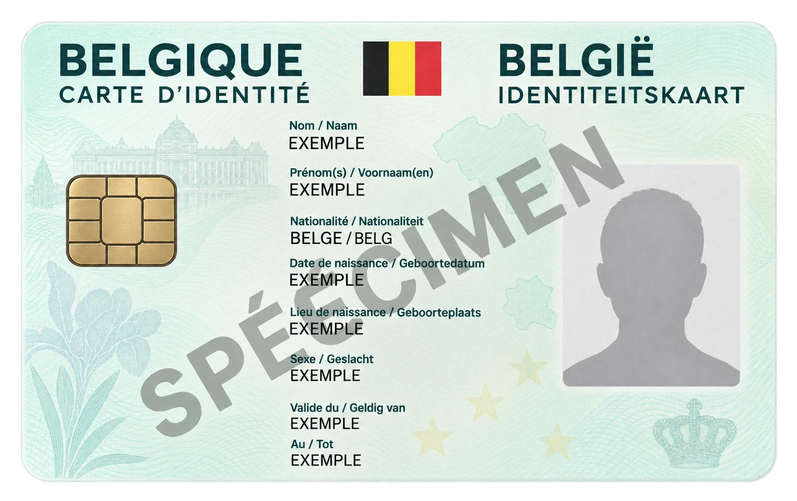 Carte d’identité belge — Illustration · spécimen